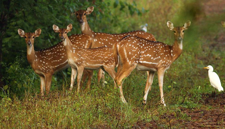 jabalpur,tourist destinations in jabalpur,madhya pradesh travel,madhya pradesh tourism,tourist places in jabalpur,travel,holidays in jabalpur