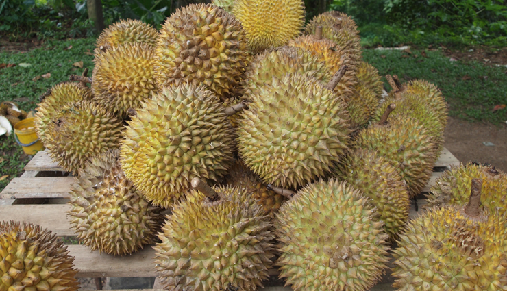 5 Health Benefits of Eating Durian Fruit