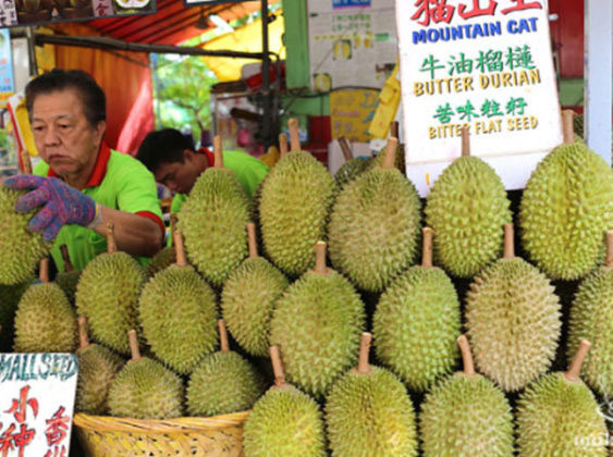 worlds smelliest fruit,durian fruit,king of fruits,worlds costliest fruit,most expensive fruit,weird story ,ड्यूरियन फल,दुनिया का सबसे बदबूदार फल,अजब गजब खबरे