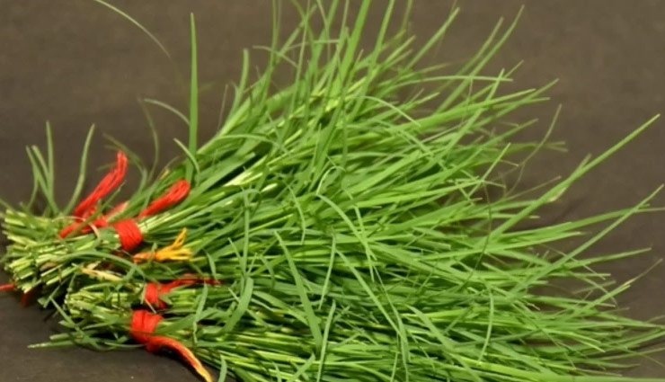 Ganesh Chaturthi 2024 : गणपति की पूजा में जरूर शामिल करें ये 7 चीजें, होगी हर मनोकामना पूरी ganesh chaturthi 2024 worship items,essential items for lord ganesha worship,what to include in ganesh chaturthi puja,ganesh chaturthi puja essentials 2024,lord ganesha worship checklist,items for ganesh chaturthi puja 2024,ganesh chaturthi 2024 puja tips,how to worship lord ganesha in 2024,ganesh chaturthi puja preparation,must-have items for ganesh chaturthi.