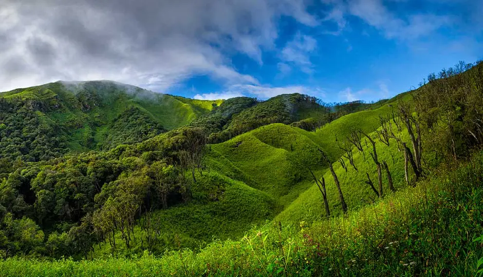 most beautiful places in india,places like kashmir in india,kashmir alternatives travel,tawang travel guide,auli winter destinations,kalpa himachal tourism,yumthang valley sikkim trip,chopta trekking uttarakhand,mechuka arunachal tourism,dzukou valley nagaland trek