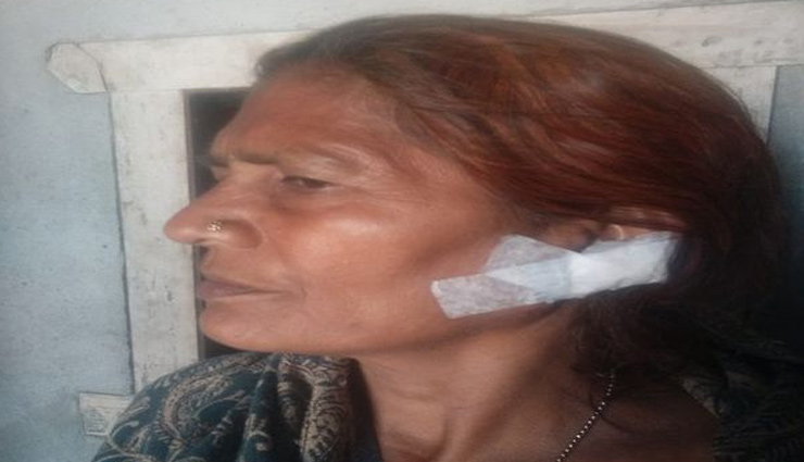  Haryana News: पानीपत में घर के बाहर गाय को नहला रही महिला से बदमाशों ने झपटी बाली, कटा कान
