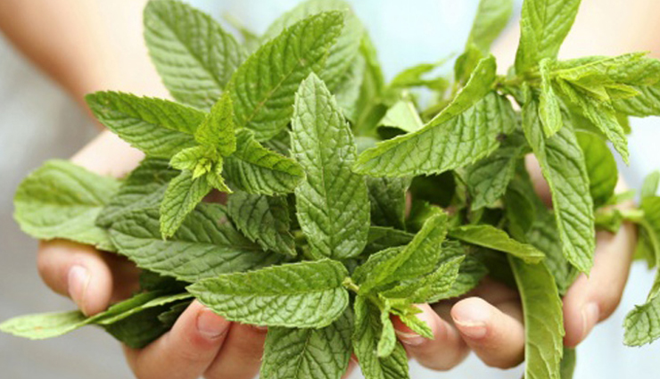 घरेलू नुस्खों से भी दूर किया जा सकता हैं कान का दर्द, जानें और आजमाए ear pain,home remedies for ear pain,Health tips,fitness tips