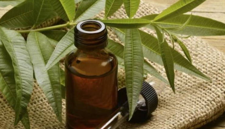 घरेलू नुस्खों से भी दूर किया जा सकता हैं कान का दर्द, जानें और आजमाए ear pain,home remedies for ear pain,Health tips,fitness tips