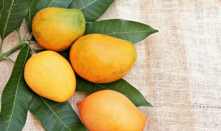 ear pain relief,home remedies for ear pain,natural earache remedies,ear pain management,earache relief tips,ear pain remedies,health tips for ear pain,earache home treatments,ear pain relief methods,coping with ear pain,healthy living with ear pain,ear pain remedies at home,natural relief for ear pain,soothing ear pain naturally,easing ear discomfort,wellness tips for ear pain,ear pain management strategies,holistic approaches to ear pain,health tips for earache relief,alleviating ear pain naturally