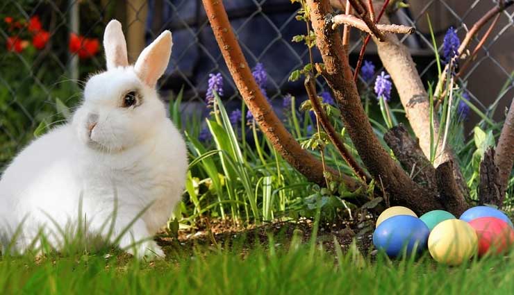 Easter 2018- What is The History of Easter?