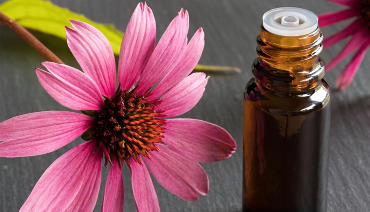 chickenpox,chickenpox treatment,chickenpox treatment at home,remedies to treat chickenpox,Health,Health tips