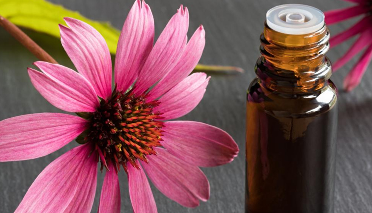 bacterial vaginosis natural remedies,natural cures for bv,home remedies for bacterial vaginosis,herbal remedies for bv,natural treatments for vaginal infection,effective natural remedies for bv,how to treat bv naturally,bv home treatments,alternative remedies for bacterial vaginosis,natural remedies for vaginal odor and discharge,holistic treatments for bv,bv natural healing,ways to naturally cure bacterial vaginosis,best natural remedies for bv