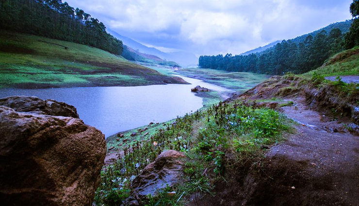 munnar,munnar tourism,tourist places in munnar,holidays in munnar,munnar travel