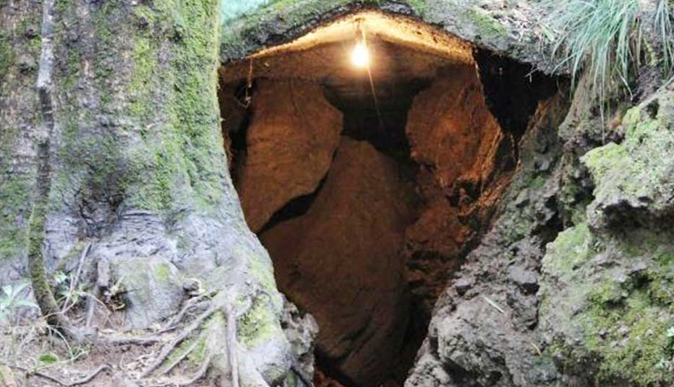 nainital tourist attractions,must-visit places in nainital,exploring nainital beauty,nainital travel destinations,captivating nainital sites,nainital hill station highlights,nainital enchanting spots,nainital travel guide,nainital sightseeing gems,unveiling nainital charm,nainital historical places,nainital natural wonders,nainital tourism spots,nainital travel experiences,nainital vacation destinations