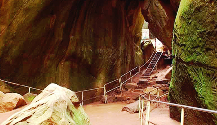 kerala tourist places,places to visit in kerala,kerala places,beautiful places in kerala,most beautiful places in kerala,kerala trip,kerala destinations,tourist spots in kerala,top tourist places in kerala,places to see in kerala,must visit places in kerala,kerala tourist,kerala travel,tourist attractions in kerala,kerala visit,places to go in kerala,beautiful tourist places in kerala,top places in kerala,top 5 tourist places in kerala