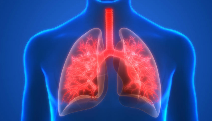 health benefits,health benefits of edamame,edamame,Health tips,fitness tips