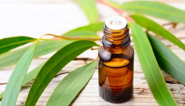 sneezing,cure sneezing,get relief from sneezing,sneezing problem,nose,Health,Health tips