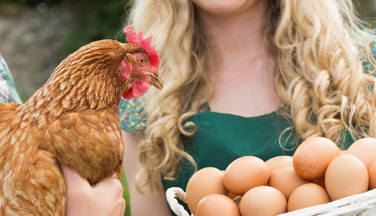 50 हजार में बिक रहा है इस मुर्गी का अनोखा अंडा! आखिर क्या है इसकी खासियत?