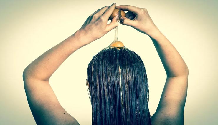 beauty tips,beauty tips in hindi,hair care tips,lost hair shine,home remedies