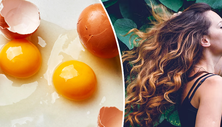 How to Apply Egg on Hair? - Lifestylica