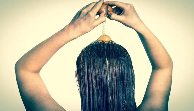 beauty tips,beauty tips in hindi,dry hair tips,hair care tips ,ब्यूटी टिप्स, ब्यूटी टिप्स हिन्दी में, बालों का रूखापन, बालों की देखभाल