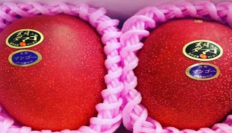 weird news,weird information,most expensive fruits