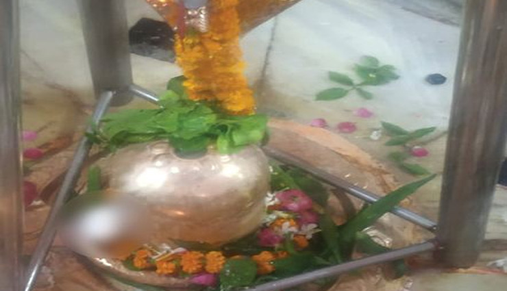 UP के प्रयागराज में फिर हिंसा भड़काने की कोशिश, शिवलिंग पर चढ़ाया अंडा