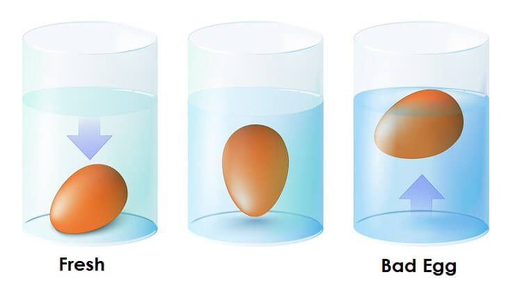 egg quality check in hindi,egg quality,Health,healthy food
