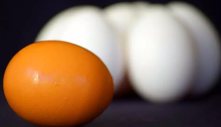 vitamin b,best source of vitamin b,foods that are best source of vitamin b,vitamin,Health,healthy food