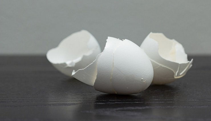 छिपकली से छुटकारा दिलाएगी रसोई घर में रखी ये चीजें, जानें उपाय lizards,things used to get rid of lizards,household tips,home decor tips,removing lizard from home