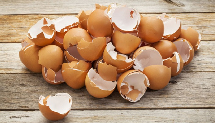 household,eggshells are a great supplement for calcium,calcium supplement