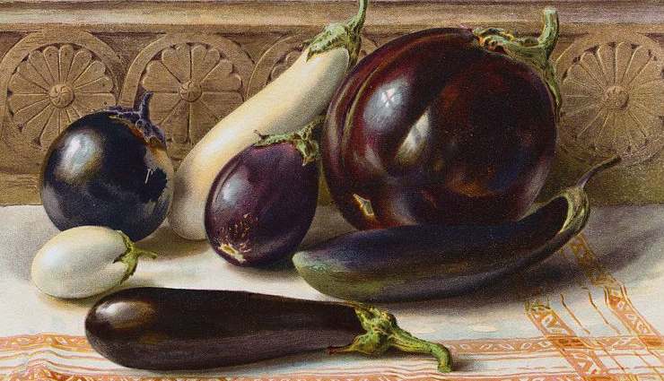 5 Most Common Health Benefits of Eating Eggplant