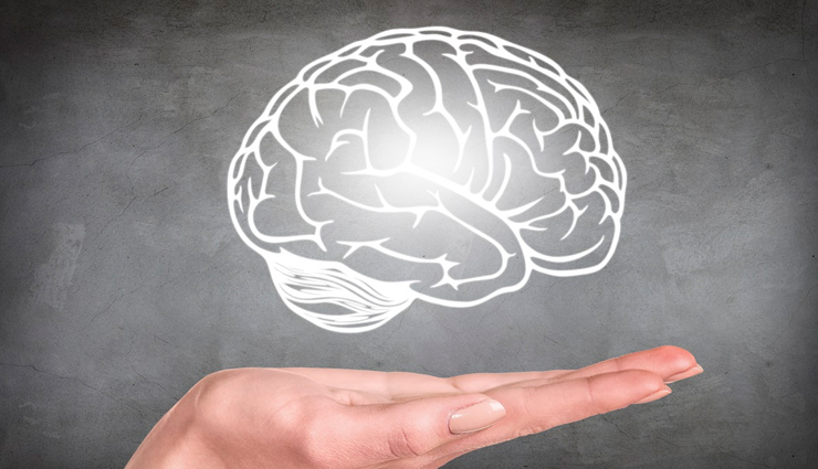 eggplant,health benefits of eggplant,Health tips,fitness tips