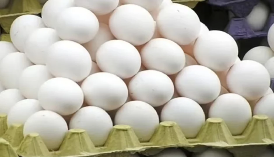 क्या मशीन से बनते हैं अंडे? जानिए हकीकत