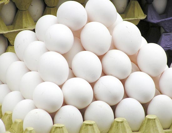 5 Healthy Egg Recipes To Maintain Your Diet