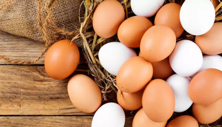  बर्ड फ्लू से पोल्ट्री व्यापारी परेशान, रोजाना अंडों से होता है 25 करोड़ का कारोबार