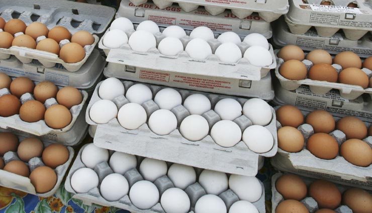 सीकर : चिकन और अंडे की कीमतों पर पड़ा बर्ड फ्लू के खौफ का असर, आया भारी अंतर 
