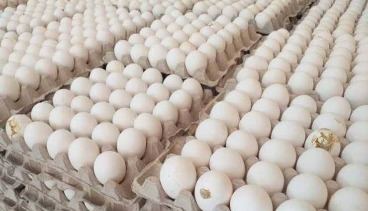 बर्ड फ्लू: पशुपालन एवं डेयरी मंत्री गिरिराज सिंह की अपील, मीट और अंडे को पूरी तरह पकाकर खाएं 