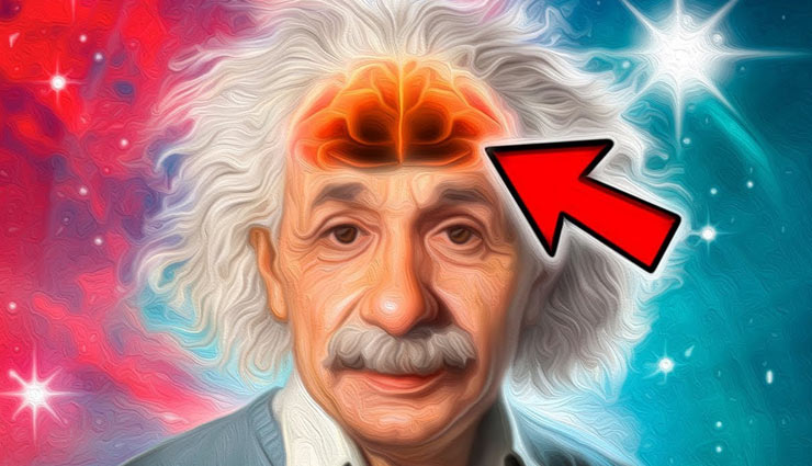 पाना चाहते हैं आइंस्टाइन जैसा तेज दिमाग, ये 5 चीजें पूरी करेंगी आपकी चाहत