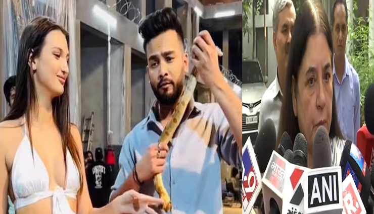 मेनका गांधी पर एल्विश ने कसा तंज, ऐसे ही मिलता है लोकसभा का टिकट, माफी के लिए तैयार रहो