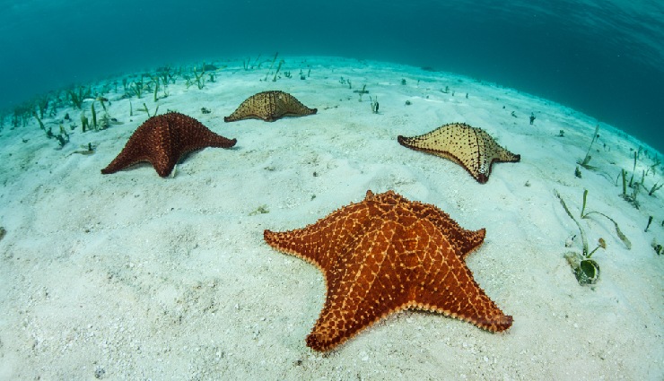 mexico best beaches,puerto escondido surfing,puerto vallarta beaches,pacific coast mexico,caribbean beaches mexico,baja california beaches,mexico beach travel,maya ruins mexico,mexico beach towns,mexico coastal destinations