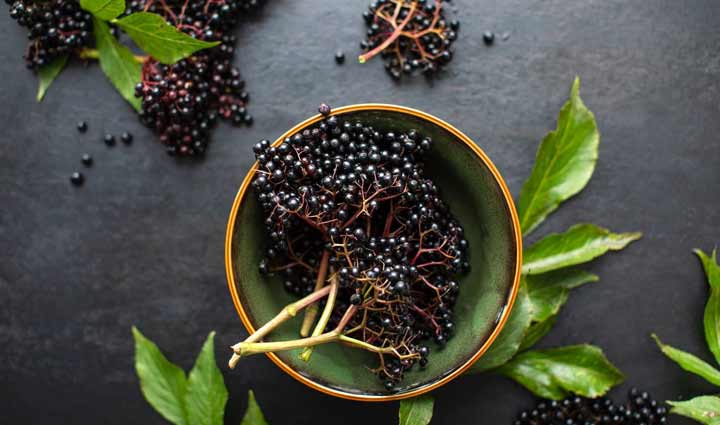 6 Potential Health Benefits of Elderberries
