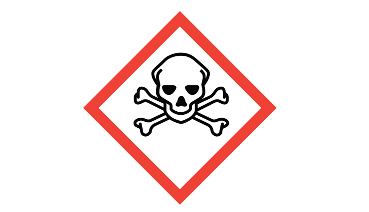 harmful effects of elderberries,elderberries,side effects of elderberries,Health tips,fitness tips