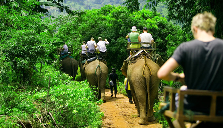 jim corbett national park,untamed adventures,wildlife safari,nature exploration,wildlife photography,tiger reserve,corbett national park guide,jim corbett travel tips,best time to visit corbett,adventure activities,wildlife encounters,corbett national park attractions,eco-tourism,nature conservation,wildlife conservation,corbett national park travel guide