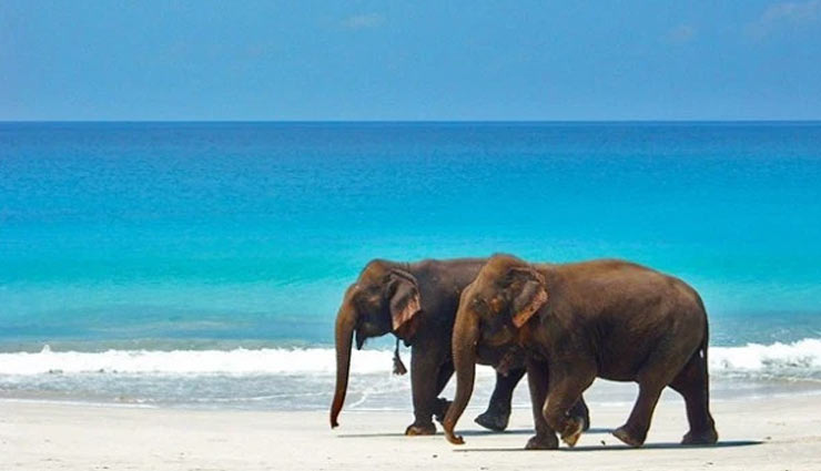 4 offbeat destinations of india,holidays,tourism