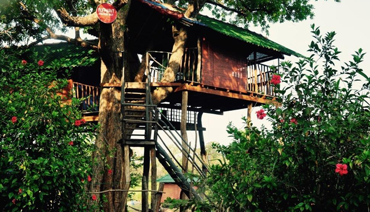 treehouses,amazing treehouse in sri lanka,tree houses in sri lanka,best tree houses in sri lanka,treehouse hotel in sri lanka,treehouses in the south,luxury tree houses in sri lanka,treehouses near me,romantic treehouse near me,travel,sri lanka tourism,holidays in sri lanka,sri lanka travel tips