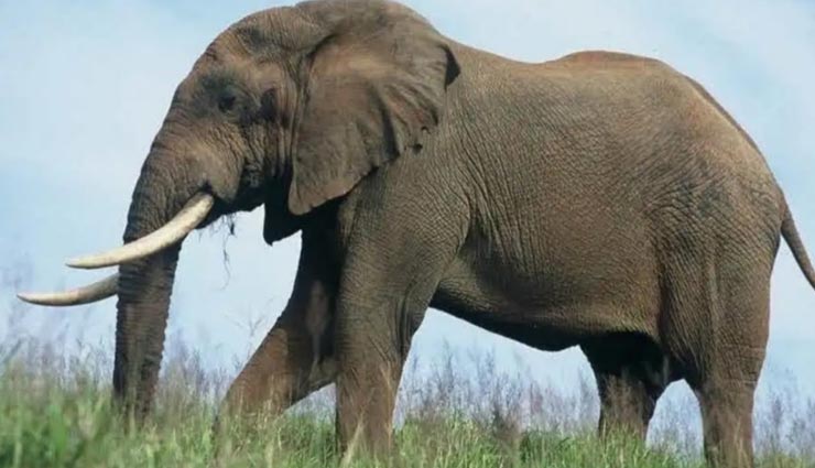 संतान सुख की कामना को पूरा करने के लिए दें इन वास्तु टिप्स पर ध्यान vastu tips,vastu tips in hindi,santan sukh