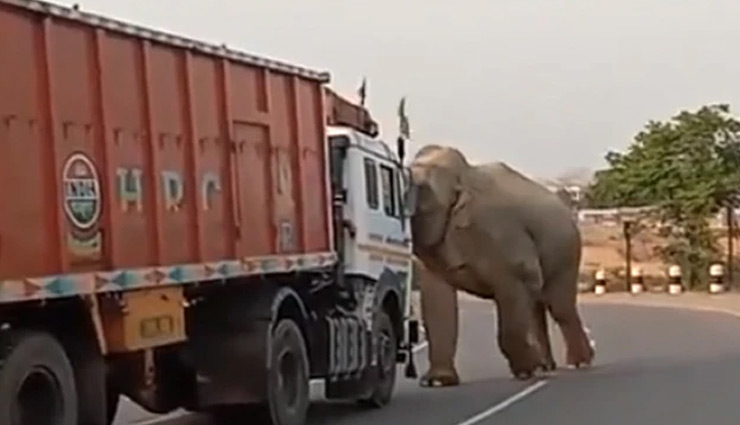 ड्राइवर का हॉर्न बजाना पसंद नहीं आया हाथी को, गुस्से में आकर किया हमला, देखे वीडियो
