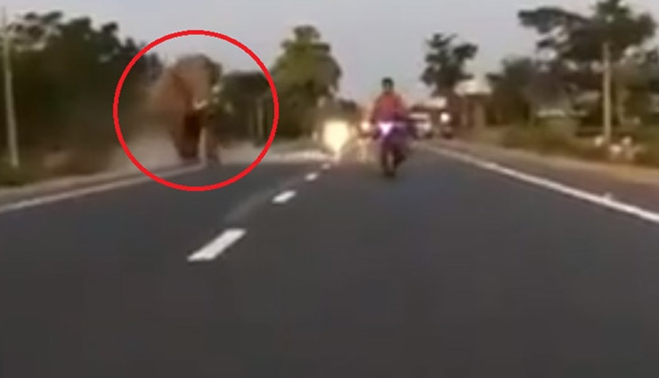 गुस्सैल हाथी ने किया बाइक सवार का पीछा, फिर हुआ ऐसा... देखें वीडियो