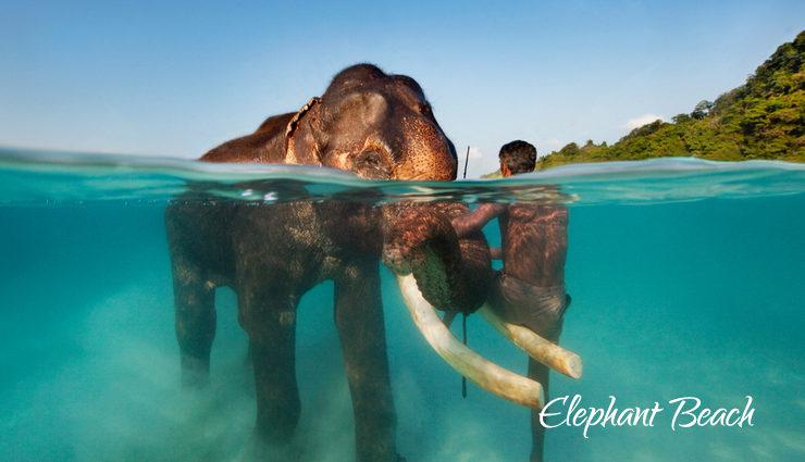 havelock island,places to explore in havelock island,beautiful places,tourist places in havelock island,travel,travel guide,travel tips