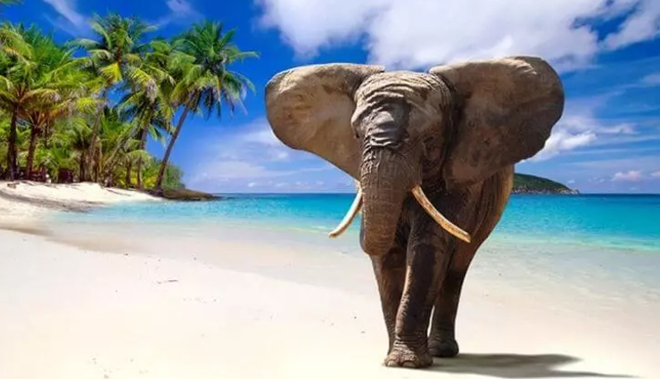 coastal treks to explore in india,india travel,holidays in india,india travel guide