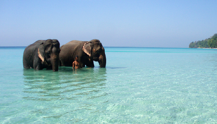 beaches in andaman and nicobar,best beaches in andaman,andaman nicobar beach destinations,andaman beach vacation,beautiful beaches in andaman,andaman nicobar travel,andaman beach holiday,top beaches in andaman,andaman and nicobar tourism,scenic beaches in andaman