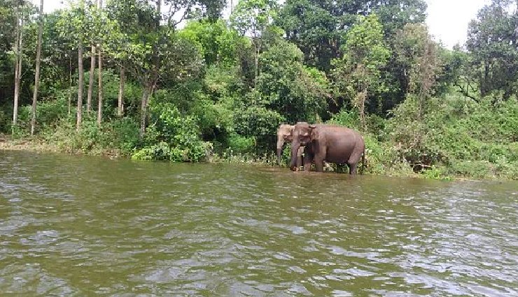 best fishing spots in india,fishing in india,ramganga river fishing,pancheshwar fishing,pabbar valley fishing,jia bhoroli river fishing,elephant lake fishing,andaman and nicobar islands fishing,lakshadweep islands fishing,fishing destinations india,angling in india