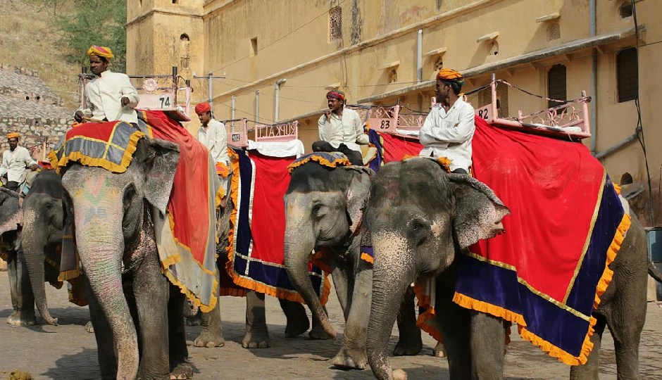 आमेर महल में आज हाथी सवारी और लाइट एंड साउंड शो रद्द, दोपहर 1:30 बजे के बाद नहीं होगी एंट्री, जानें कारण